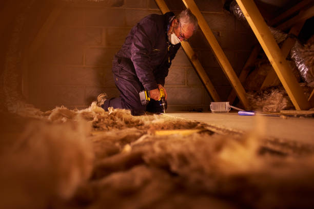 Best Crawl Space Insulation  in Monticello, IL